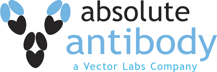 absolute antibody 로고