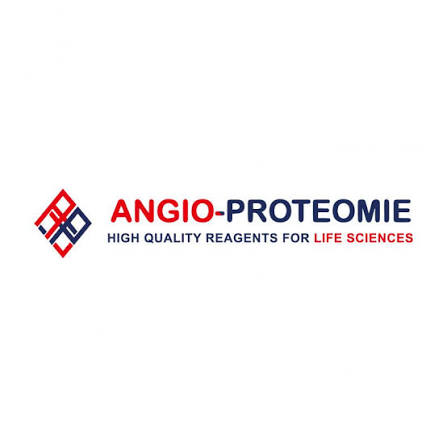 ANGIO-PROTEOMIE 로고