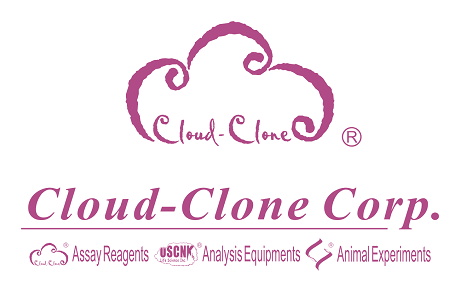 Cloud-clone 로고