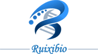 RUIXIBIO 로고