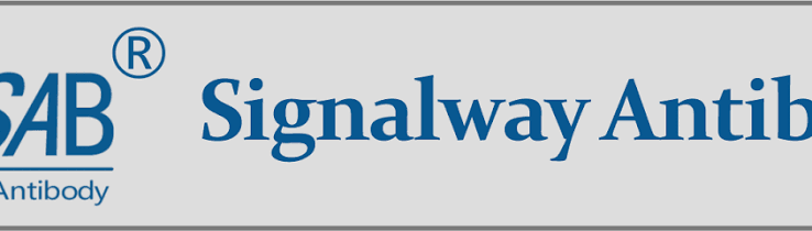 Signalway Antibody 로고